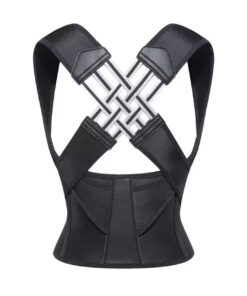Back Brace Belt