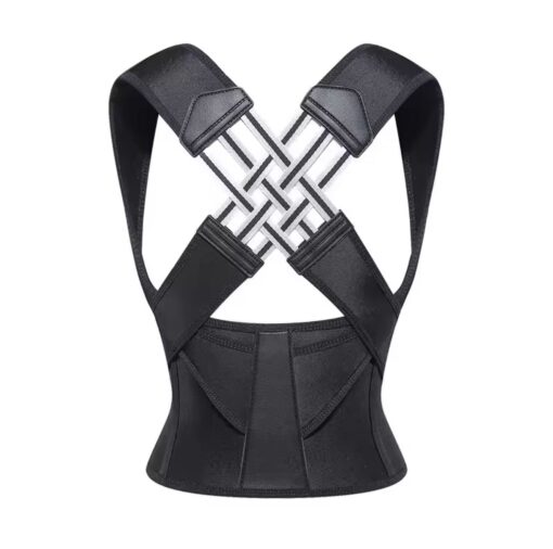 Back Brace Belt