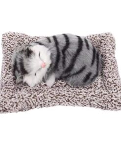 Sleeping Cat