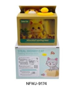 Coins Saving Box