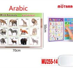 Wild Animals - Arabic