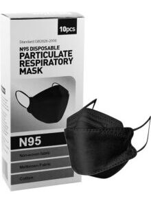 Disposable Mask N95
